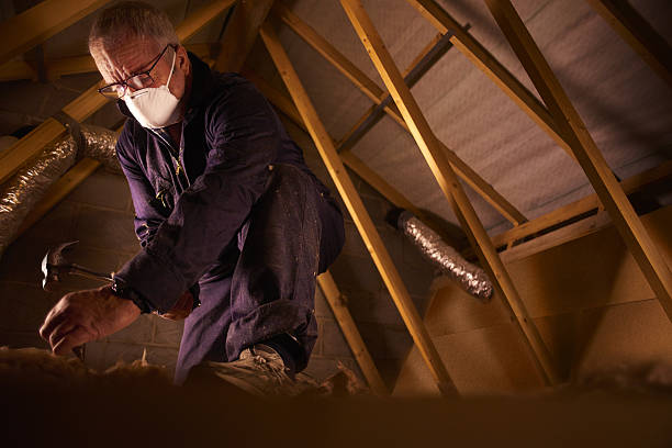Best Home Insulation Services  in Mullica Hill, NJ